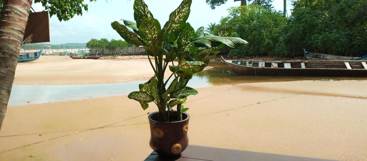 Scorpion Hill Lodge Busua Room photo